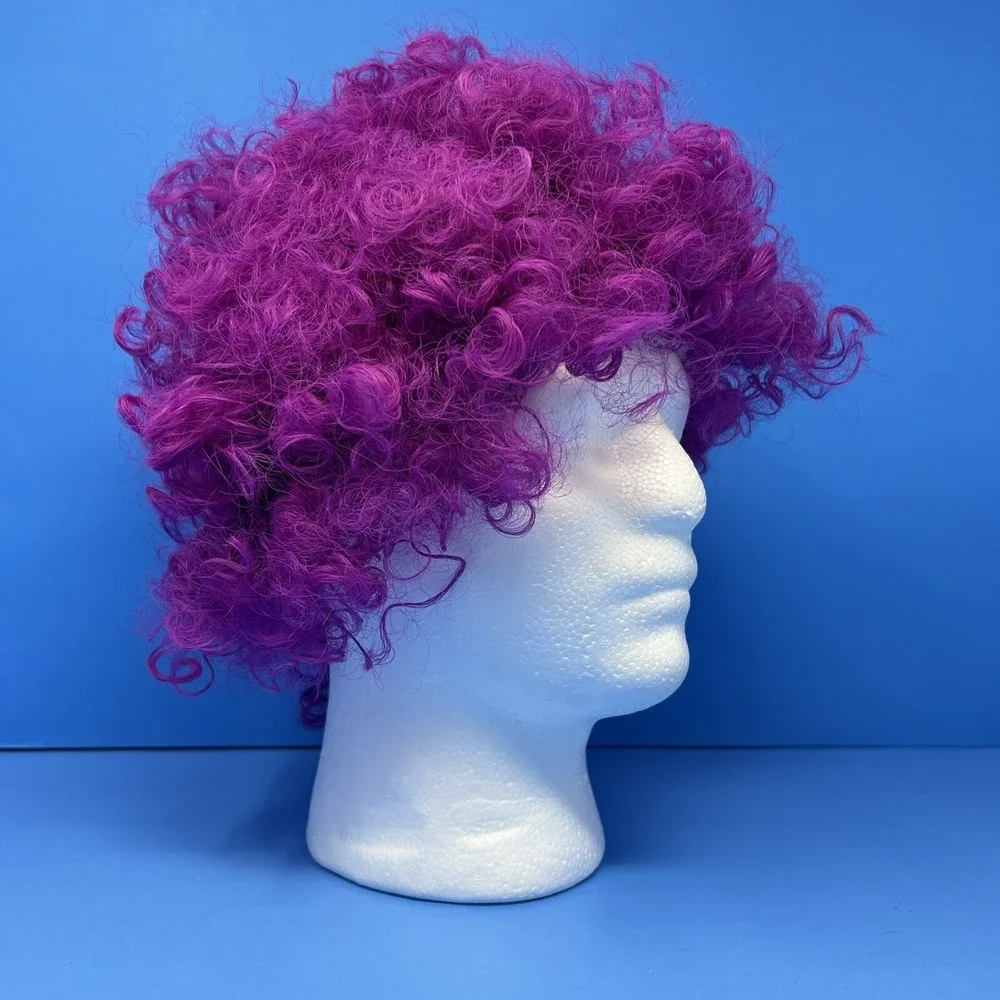 Halloween Clown Costume Wig‎ Purple Afro 60s 70s Disco Clown